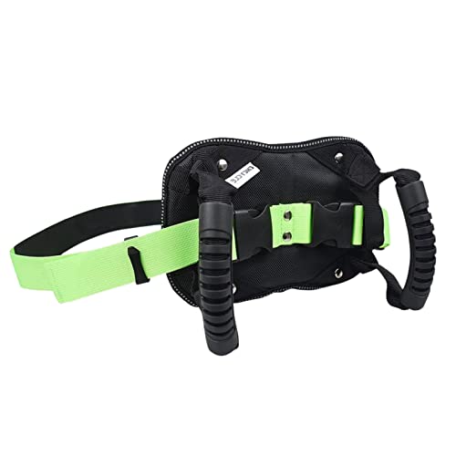 dalian 3 cinturones de seguridad para moto para pasajeros – Asa de coche Auto Cane – Cojín de correa Ventrale para conductor para niños y asa de asiento trasero para cinturón de cintura