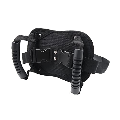 Cinturones de Seguridad Moto,Motocicleta cinturón de Seguridad,Motocicleta cinturón de Seguridad,Motocicleta Seguro Correa Ajustable asa (Negro)