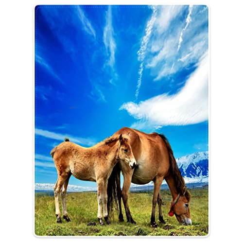 Dick Manta Suave calor gemütlich franela polar de sofá Manta Tapa Caballos grasen Animales caballo Madre y el Niño Cielo Azul, franela, Blauer, 125 x 200cm